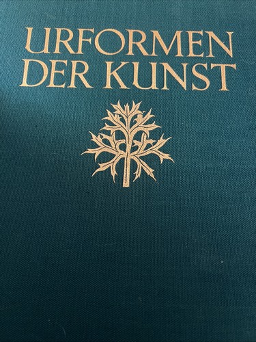 Karl blossfeldt urformen - blossfeldt, der