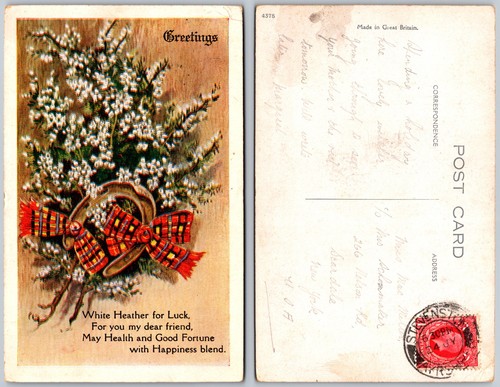 Cartolina nastro erica bianca - nastro,