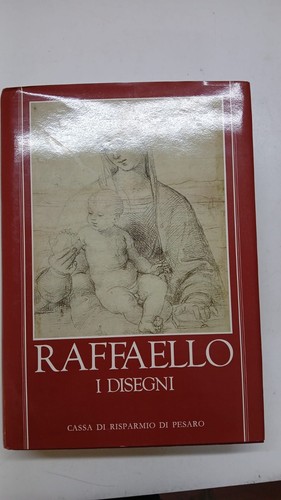 Raffaello disegni a - a, cura