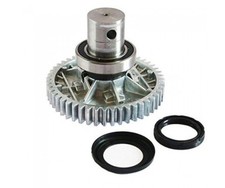 ALBERO LENTO - FROG CAME