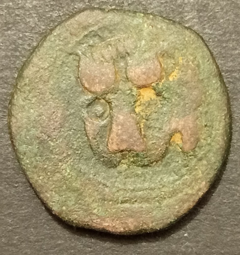 Trifollaro 1166 1189 - trifollaro,