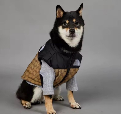 Check per cani gatti di - e,