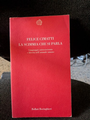 Scimmia che parla felice - la,