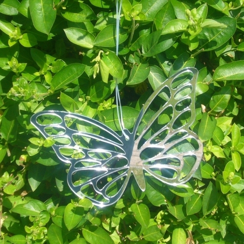 Specchio farfalla catturaluce - farfalla,