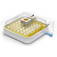 NUOVO GQF 3100 Incubatrice