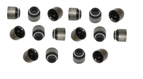 Set guarnizioni olio - , stelo