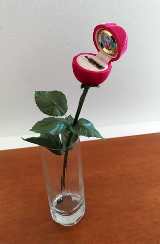 Rosa velluto con - velluto,