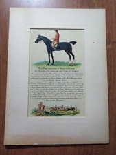 ippica THE PORTRAITURE of