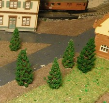 50 Abeti Scuri, Alberi Di Pino, 25 Pezzi Di 48 E 58 Mm Di Altezza