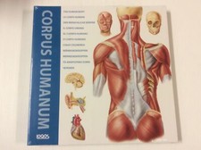 Corpus humanum / anatomia