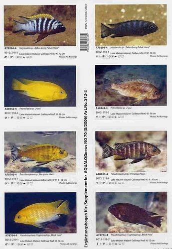 Supplements aqualog african - supplements,
