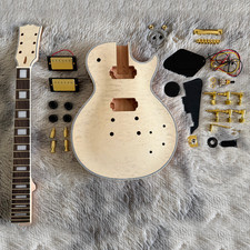 DIY 6 String LP Electric