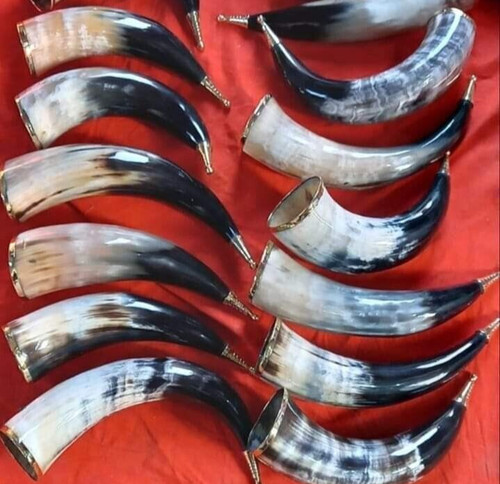 Set manzo mucca corno - 10,