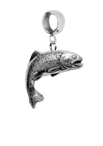 Trota pesce pesca peltro - pesce,