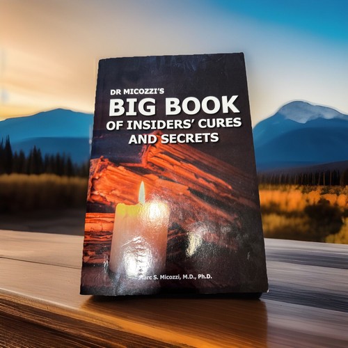 Micozzi big book of - book,