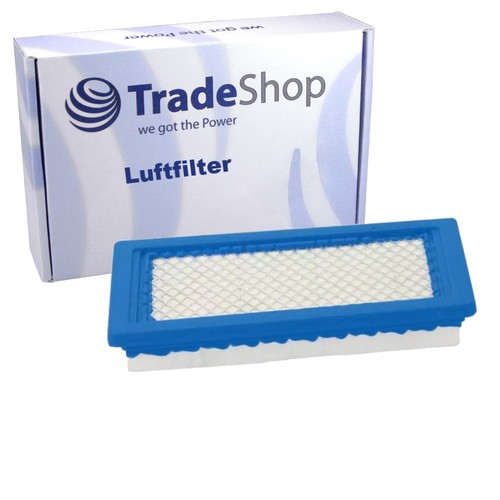 Filtro aria compatibile con