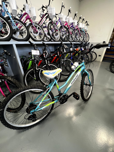 Bicicletta mtb ragazza - bicicletta, 24"