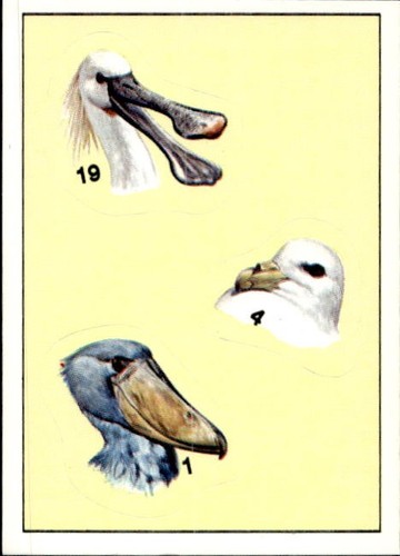 Figurina uccelli panini - figurina, ed.panini