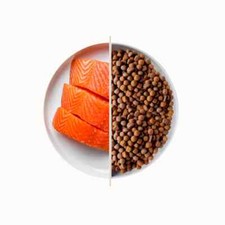 Top premium food for dogs - for,