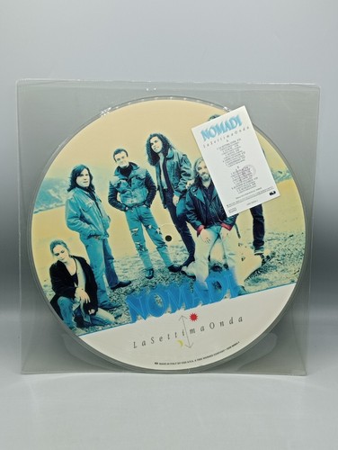 Vinile giri picture disc - 33,