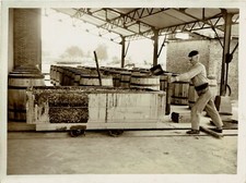 FRANCE ca 1934 photo agency