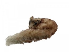 Steiff animale 2812.00 peluche