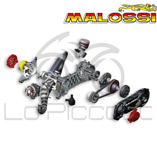 Motore completo malossi one - motore,