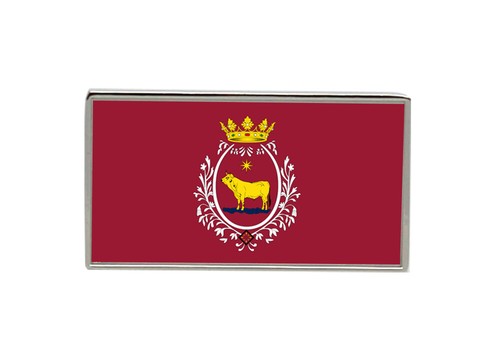 Spilla vento insegna - spilla, a