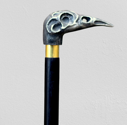 Antico raven skull passeggio - raven,