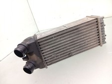 Intercooler Citroen Xsara