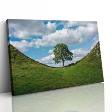 Quadro Stampa su Tela Sycamore Gap Adrians Wall Northumberland Incorniciato Wall Art