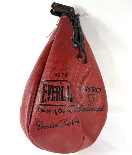 Everlast 4214 giroscopio - 4214,