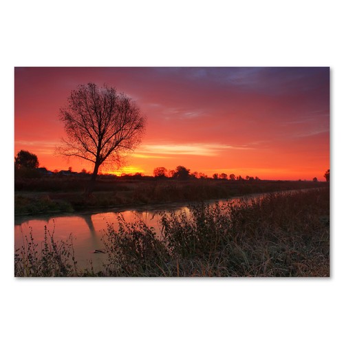 Postereck 1756 poster tela