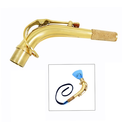 Sassofono contralto sax curvo