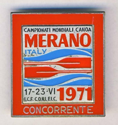 Distintivo spilla partecipante - distintivo,