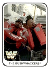 card wwf wrestling merlin 1991