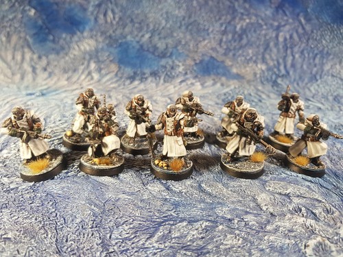 Guerrieri del ghiaccio - guerrieri,