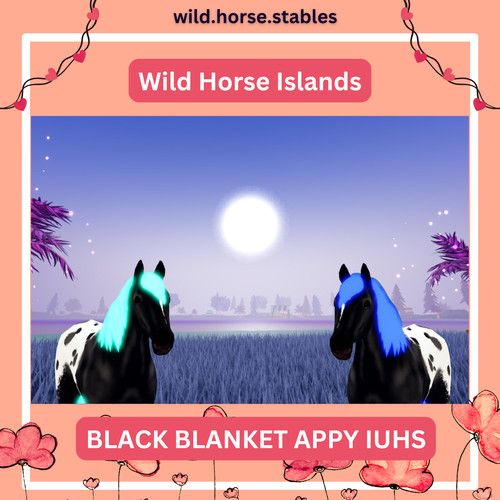 Wild horse islands appaloosa - islands,