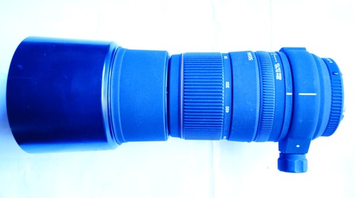 Pentax fit sigma - pentax,