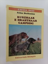 Kurzhaar drahthaar campioni - kurzhaar,