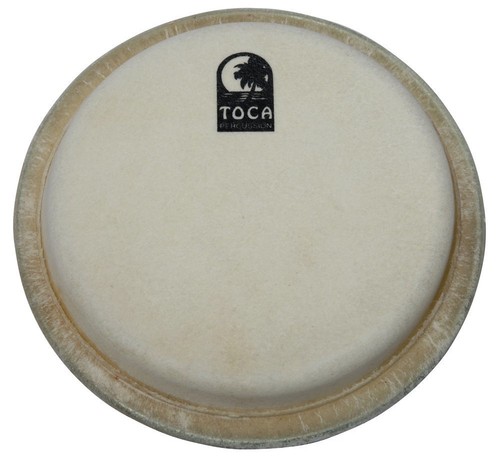 Conga pelli percussioni - -,