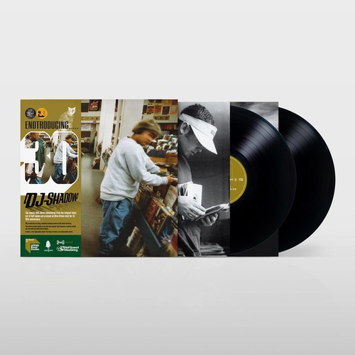 Shadow endtroducing - dj,