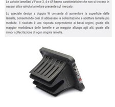 Pacco lamellare PER Gasgas 250