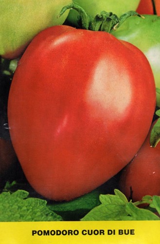 250 semi pomodoro cuor - 250,