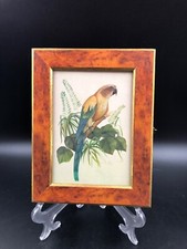 PORTA CHIAVI DA MURO IN LEGNO QUADRO UCCELLI USATO MA OTTIME CONDIZIONI