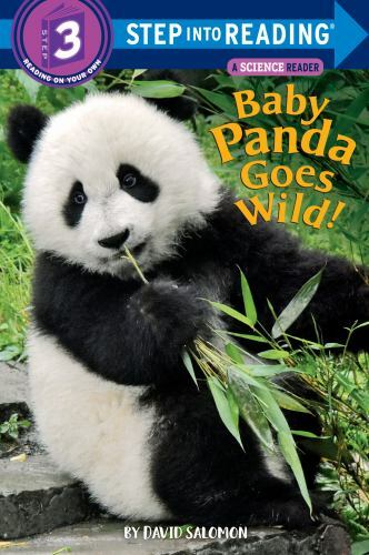Baby panda goes wild - baby,