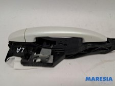 Maniglia porta sinistra