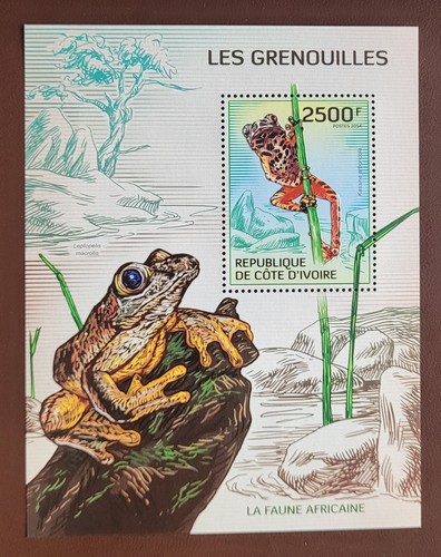 Costa avorio 2014 fauna - costa,