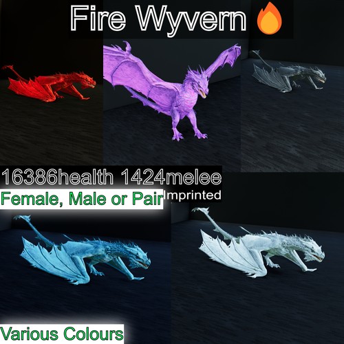 Fire wyvern max level - wyvern,