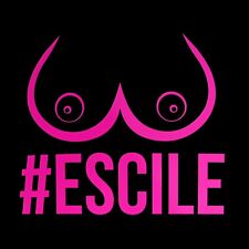 Sticker #ESCILE Adesivo Decal Laptop Auto Moto Casco JDM DUB Fresh Illest Bomb